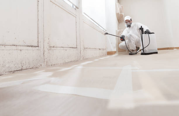 24/7 Emergency Mold Remediation experts in Temple Hills, MD